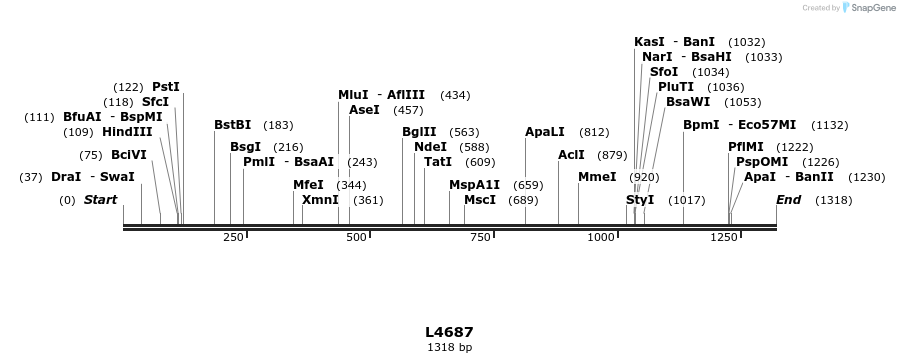 16806_map