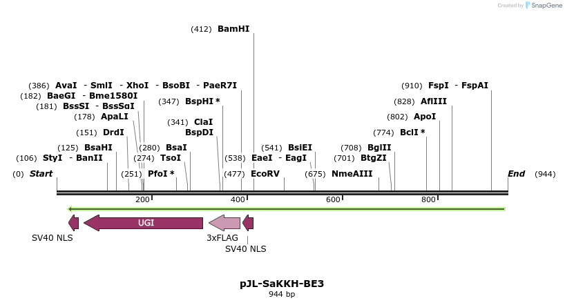 168062_map