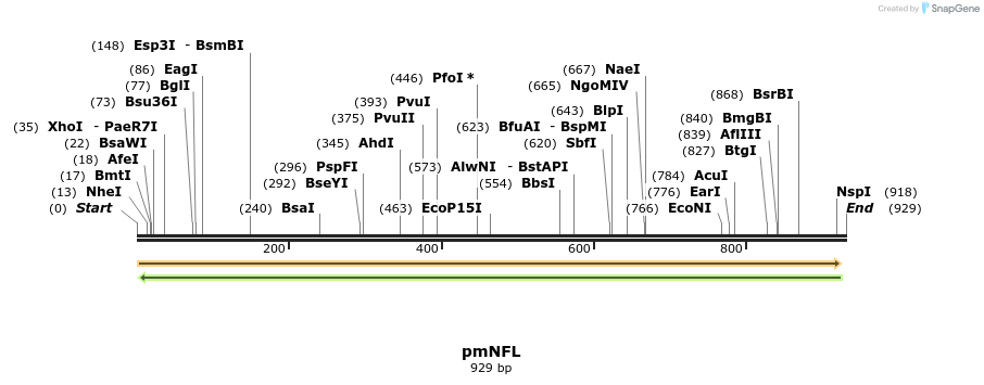 168064_map