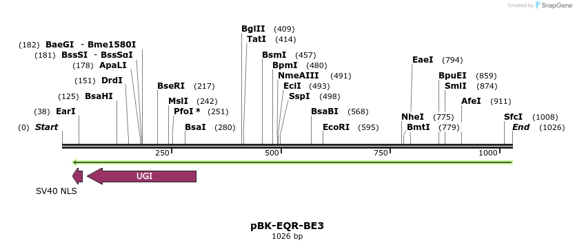 168069_map