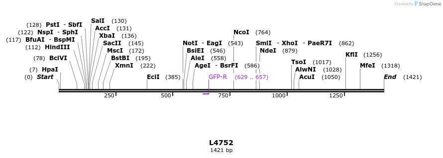 16807_map