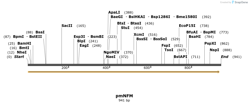 168074_map