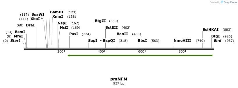168075_map