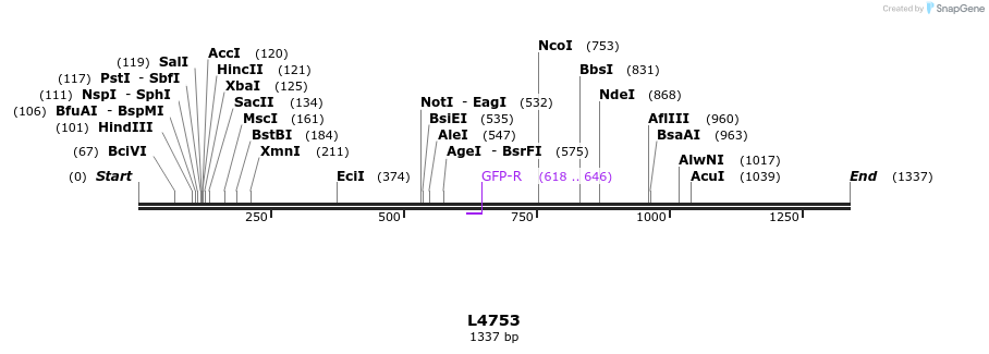 16808_map