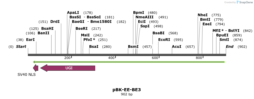 168083_map