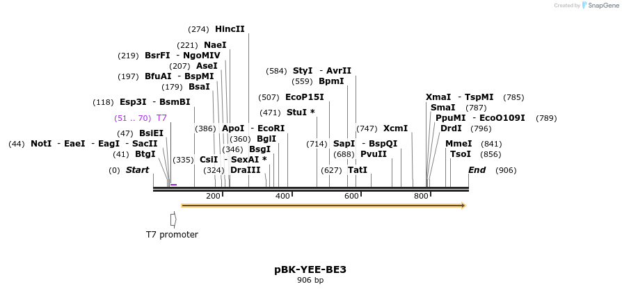 168087_map