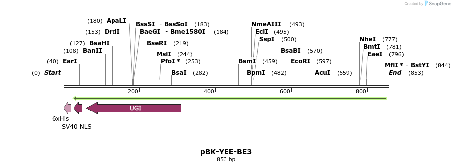 168088_map