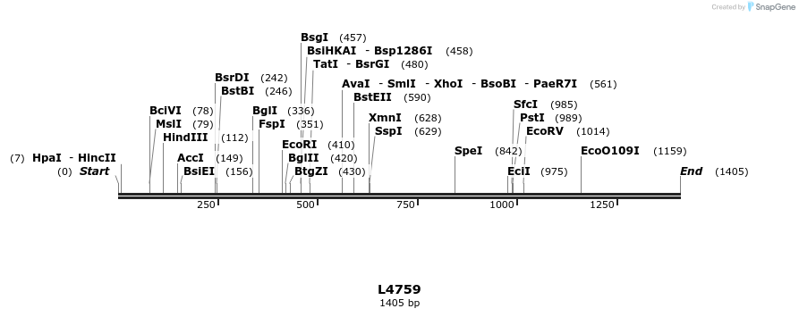 16809_map