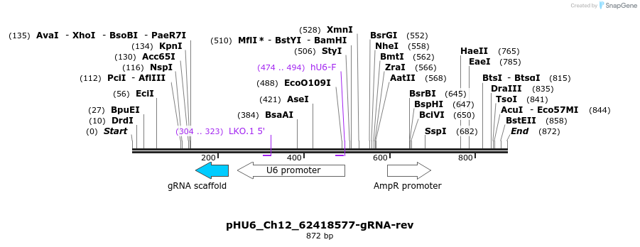 168090_map