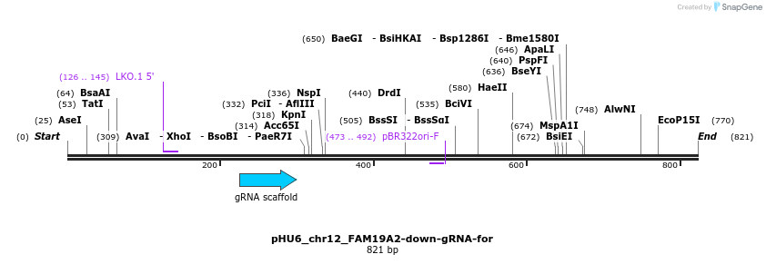 168091_map