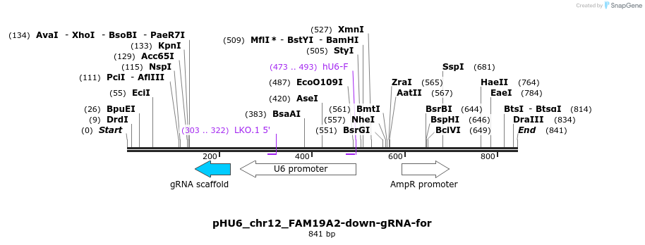 168092_map