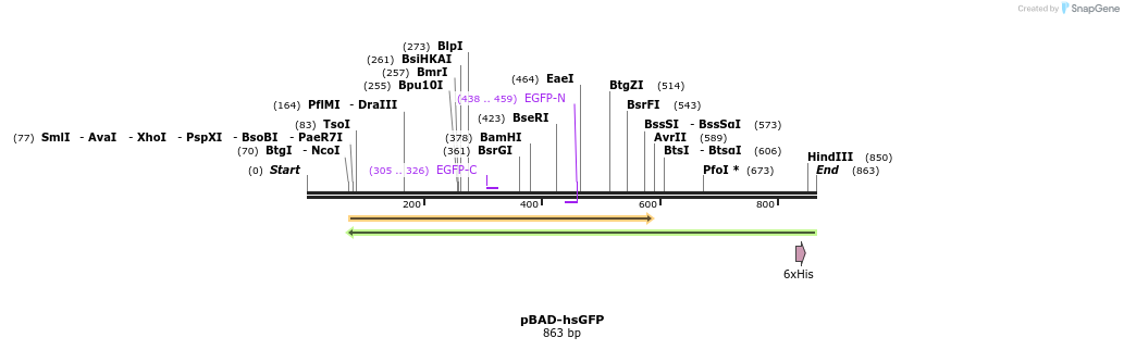 168110_map
