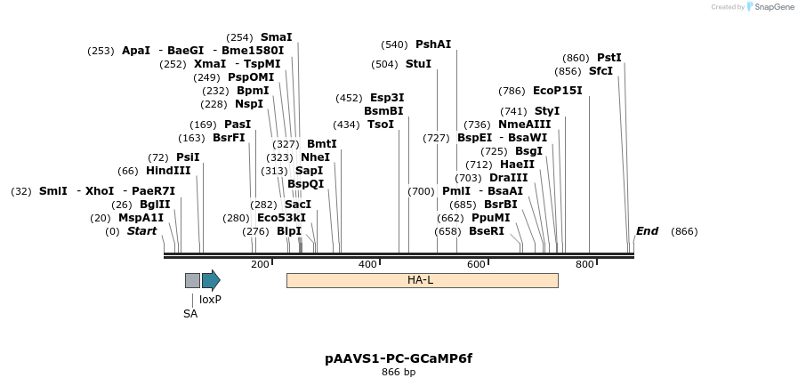 168112_map