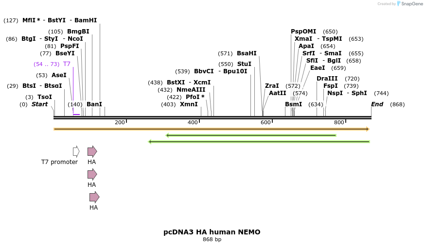 168118_map