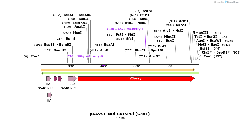 168119_map