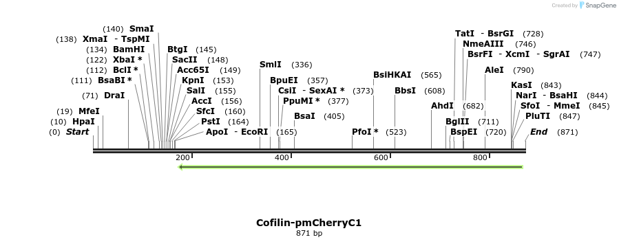168129_map