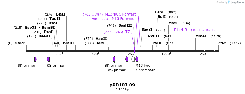 16825_map
