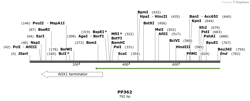 168275_map