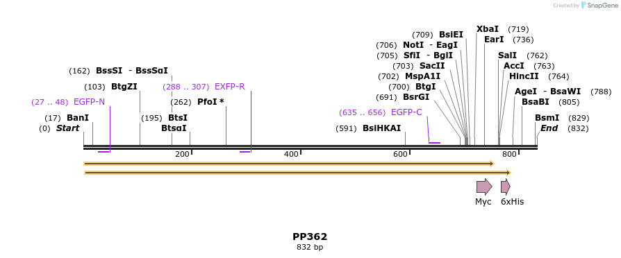 168277_map