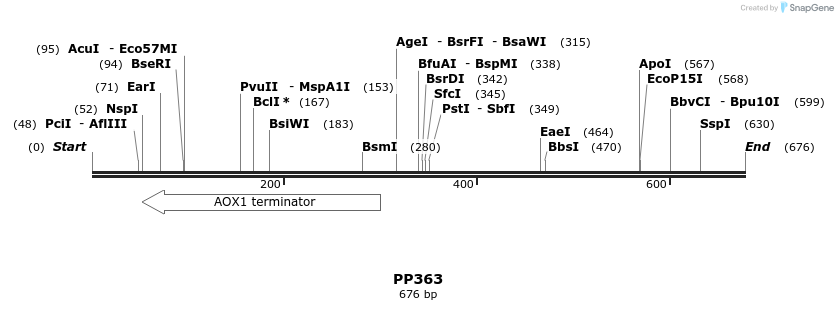 168278_map