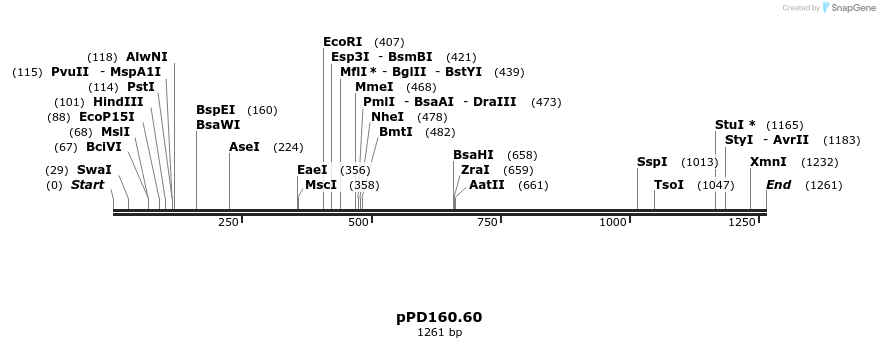 16828_map