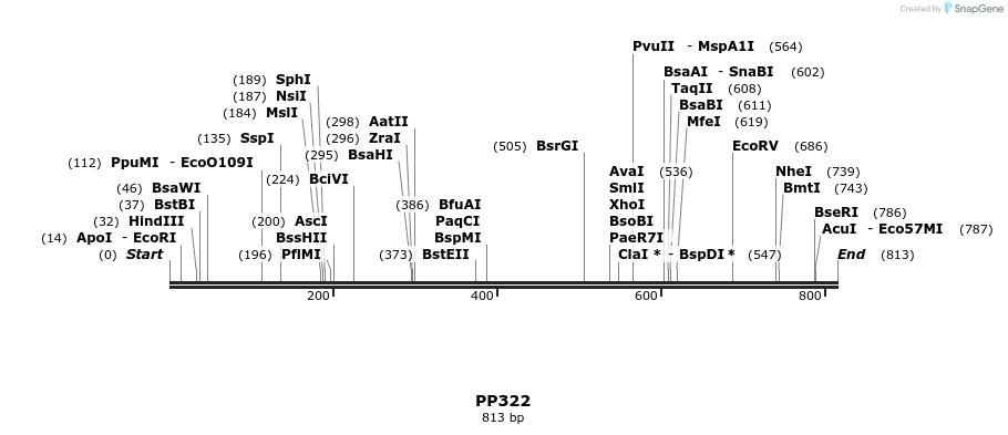 168282_map
