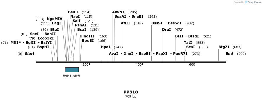 168288_map