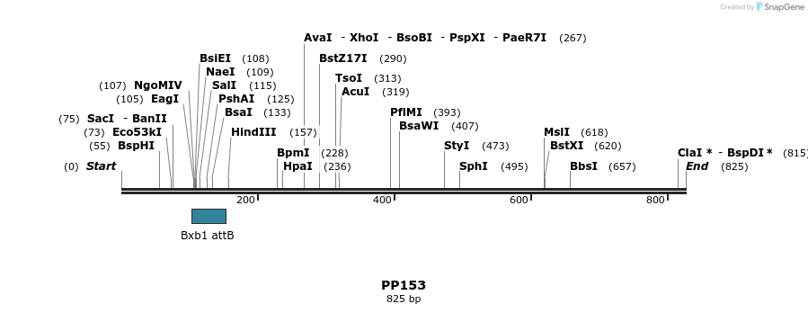 168293_map
