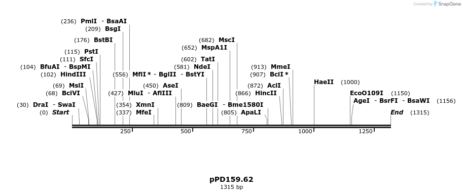 16836_map