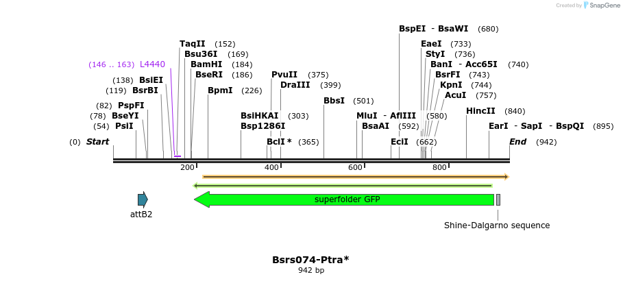 168388_map