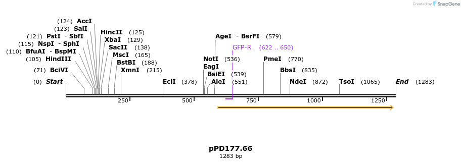 16839_map