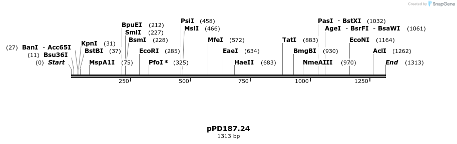 16845_map
