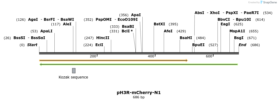 168450_map