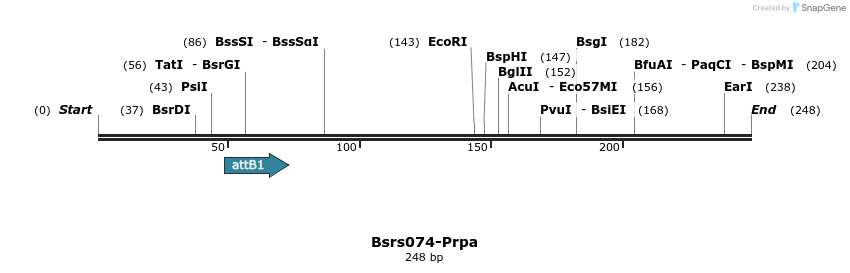 168460_map