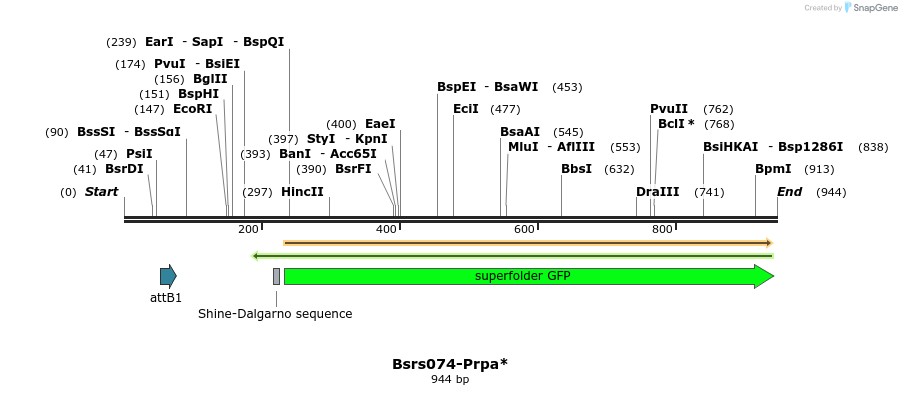 168464_map