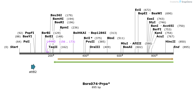 168465_map