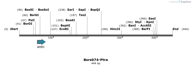 168473_map