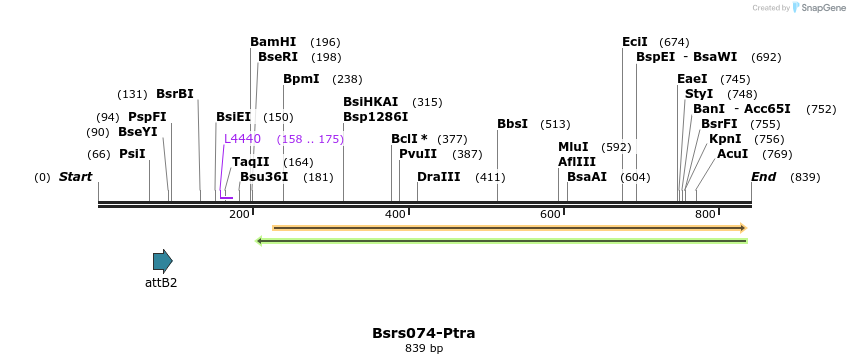 168474_map
