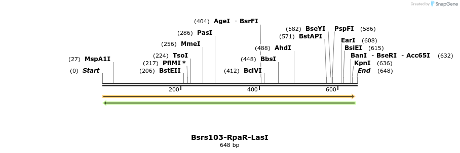 168478_map