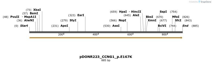 168482_map