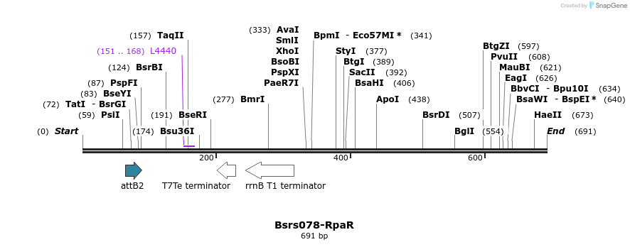 168497_map