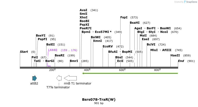 168506_map