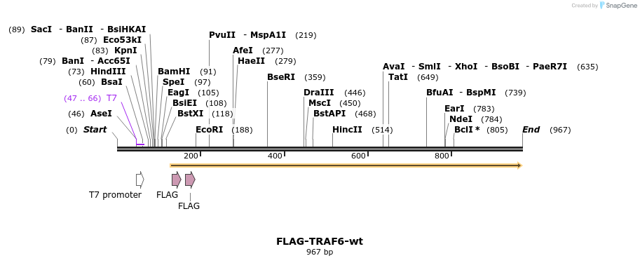 168512_map