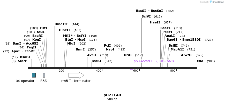 168531_map
