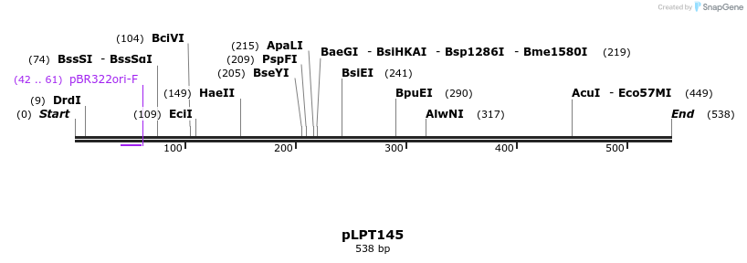 168537_map