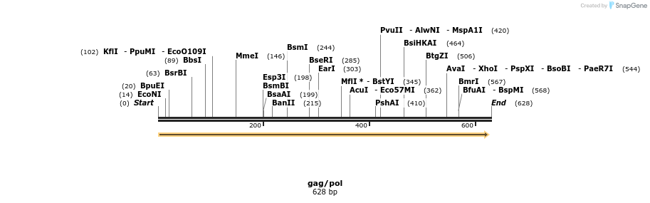 168567_map