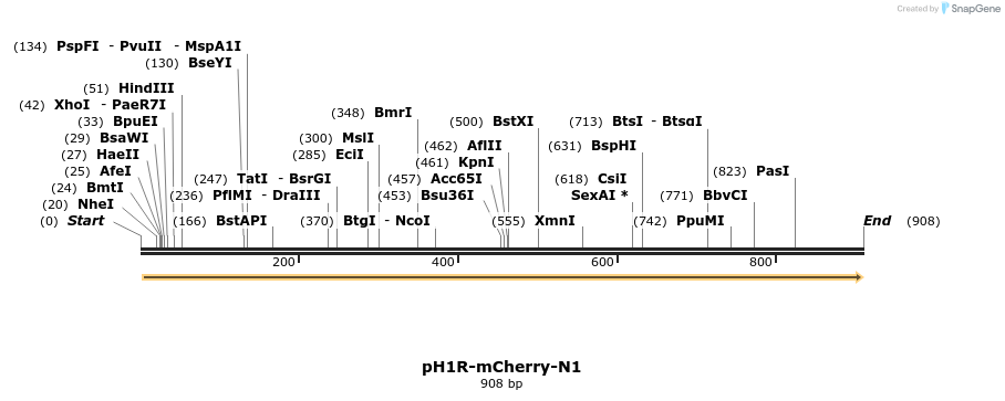 168570_map