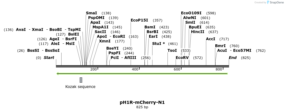 168571_map