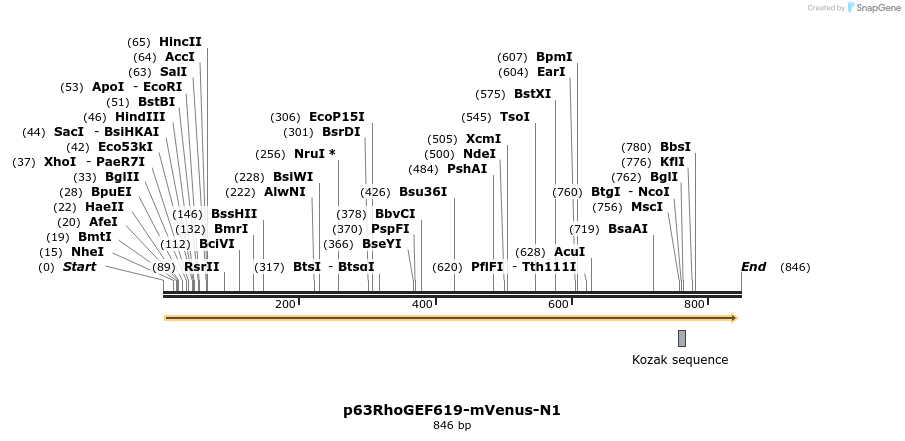 168576_map