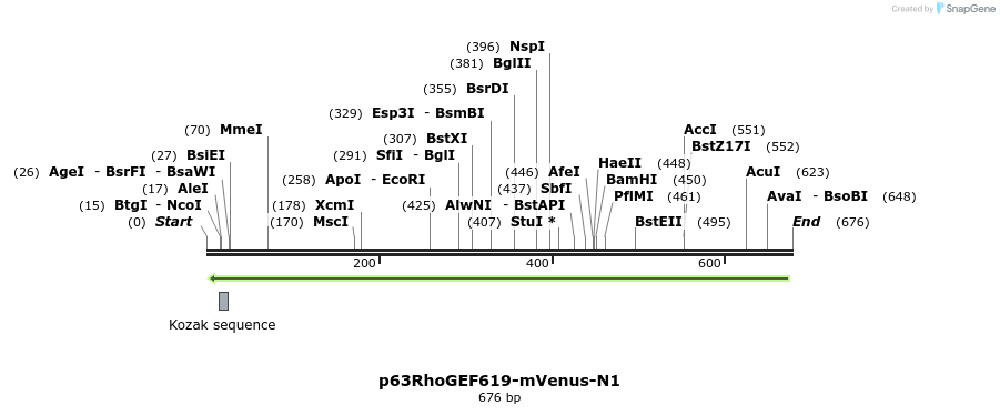 168579_map
